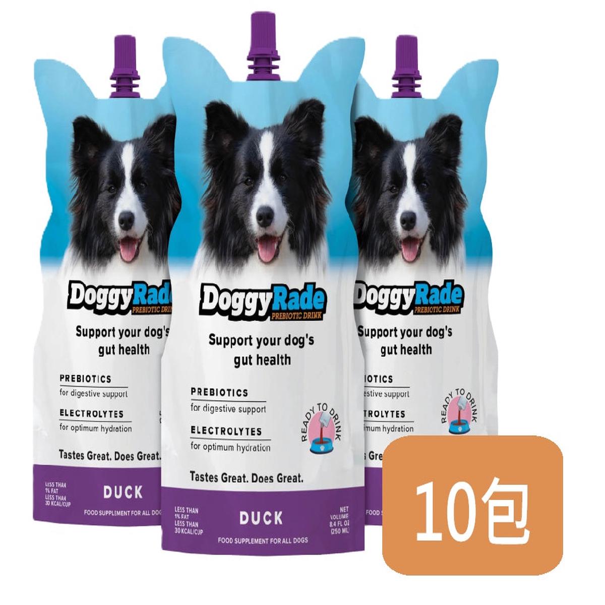 [Original Box Offer] Doggyrade Isotonic Drink 250ml x 10 Packets (Chicken/Duck) - Duck flavor