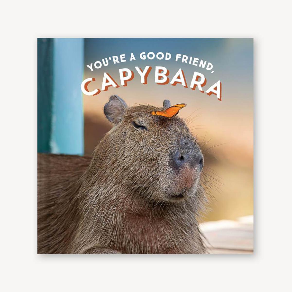 You're a Good Friend  Capybara