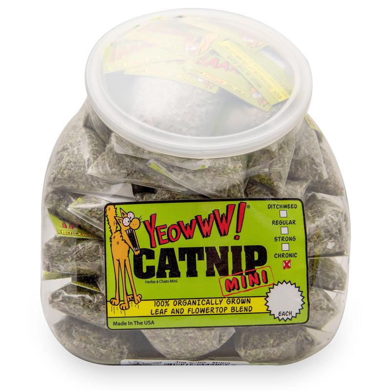 Yeowww! Catnip Mini Counter Display Jug 50 ct
