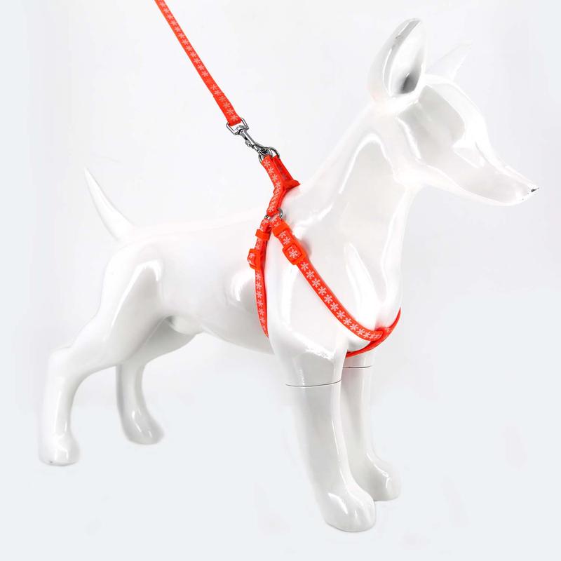 2gather Fluorescent Harness and Lead (Orange)